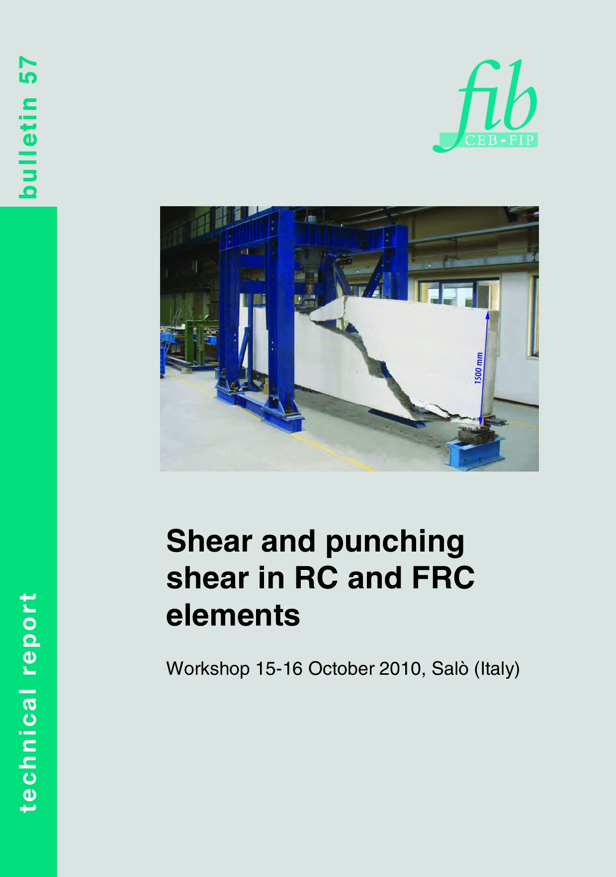 Shear and Punching Shear in RC and FRC Elements